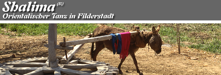 Orientalischer Tanz in Filderstadt